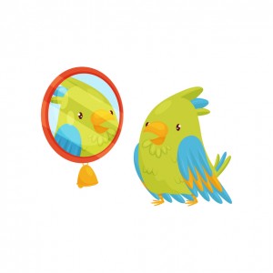 Green parrot looking at yourself in the mirror. Bird with bright feathers. Funny cartoon character. Graphic element for children book. Vector illustration in flat style isolated on white background.